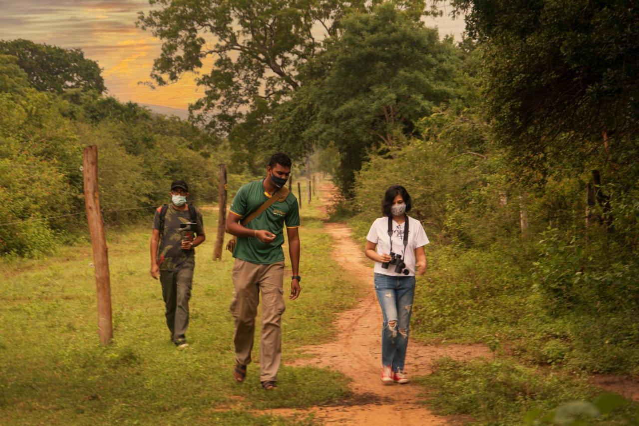 Mahoora Yala - By Eco Team Otel Dış mekan fotoğraf