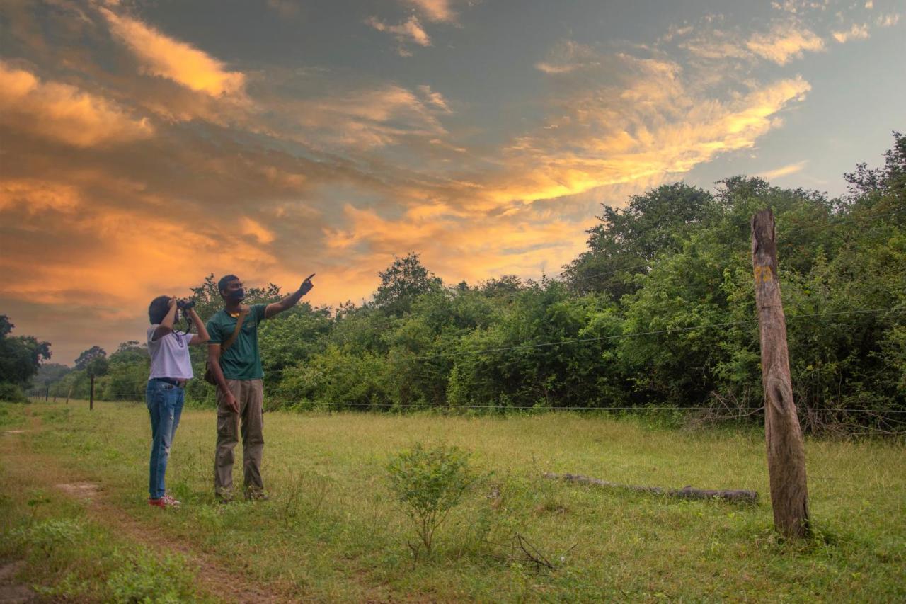 Mahoora Yala - By Eco Team Otel Dış mekan fotoğraf